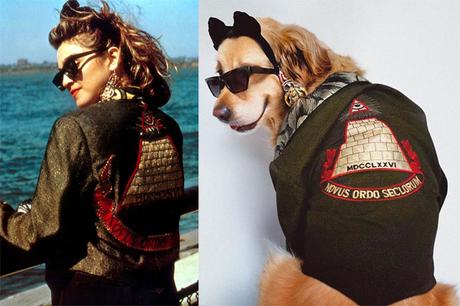 Il recrée les poses iconiques de Madonna avec son chien