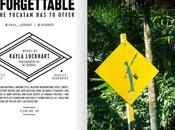 This Magazine pêche mouche