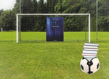 Le rêve bleu, un roman de Serge Dérès