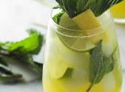 Tropic menthe avec thermomix
