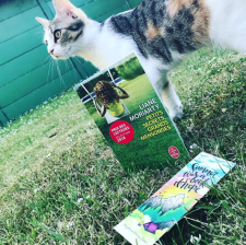 Capture d_écran 2018-07-07 à 18.14.43