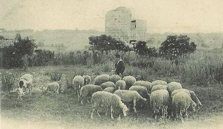 La ''malédiction'' de l'Ordre de Gandmont -1/2 -