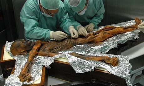 Le dernier repas d'Otzi comprenait du gras, de la viande de gibier, et des céréales Le dernier repas d'Otzi comprenait du gras, de la viande de gibier, et des céréales