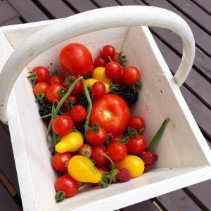 C’était en juillet sur @Instagram C’était en juillet sur @Instagram