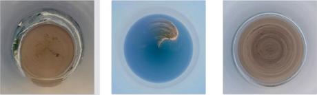 To be(e) or not to be(e) – SALON « ART NATURE CONTEMPORAIN » – PRADES-LE-LEZ