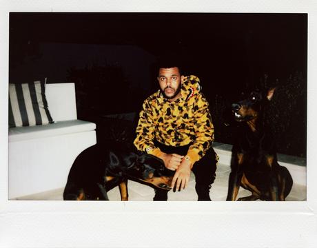 Bape The Weeknd