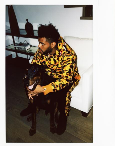 Bape The Weeknd