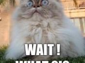 Copropriété serait temps l’État retire sales pattes