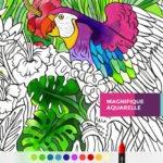 tayasui color 150x150 - App du jour : Tayasui Color (iPhone & iPad - 3,99€)