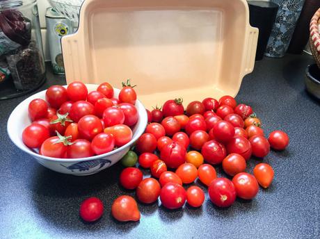 Cueillette – Tomates cerises confites