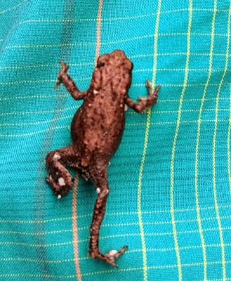En bonne compagnie sylvestre à Mittenwald