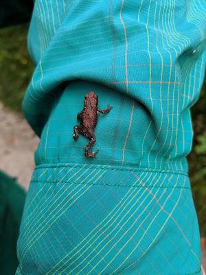 En bonne compagnie sylvestre à Mittenwald