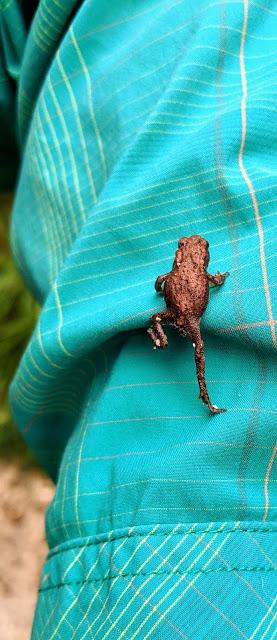 En bonne compagnie sylvestre à Mittenwald