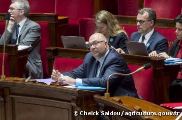 Pesticides : le ministre, la courge et la rhubarbe