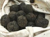 Gourmande Haute Marne