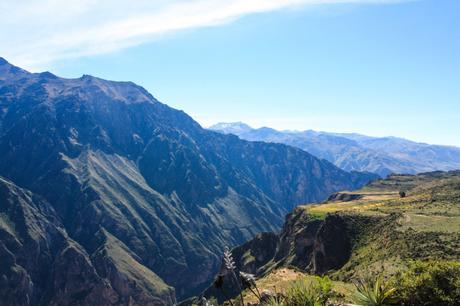 Guide d’Arequipa: le Canyon de Colca