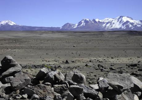 Guide d’Arequipa: le Canyon de Colca