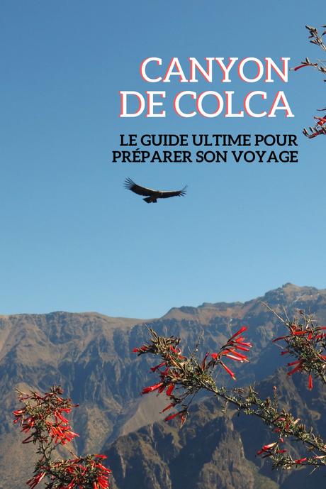 Guide d’Arequipa: le Canyon de Colca Guide d’Arequipa: le Canyon de Colca