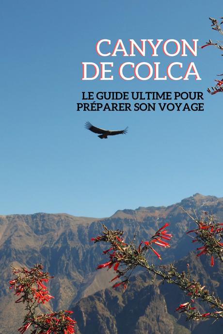 Guide d’Arequipa: le Canyon de Colca