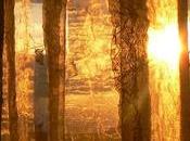 Quelques trucs pour sentir moins accablés chaleur