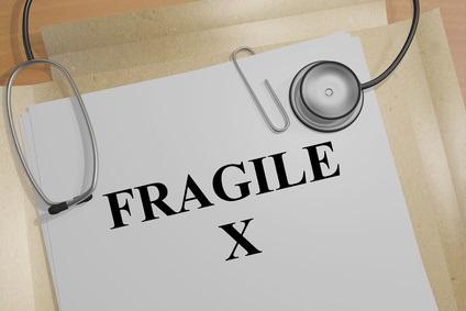 Le syndrome de l’X fragile touche environ 1 homme sur 3.000 et 1 femme sur 6.000