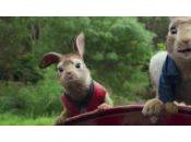 Sortie Blu-ray Critique Pierre Lapin s’est fait carotte