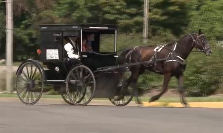 Avec sa calèche, il lance le « Uber Amish » Avec sa calèche, il lance le « Uber Amish »