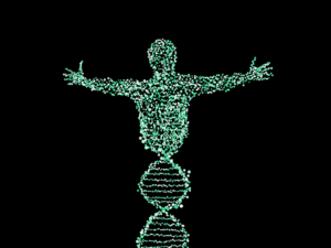 Analyse de l’ascendance – Quel héritage vous a t-on transmis ? Analyse de l’ascendance – Quel héritage vous a t-on transmis ?