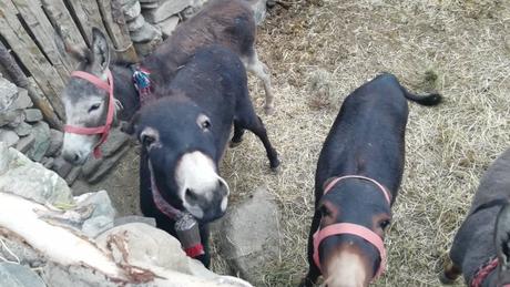 5 jours dans la vallée de Markah 5 jours dans la vallée de Markah