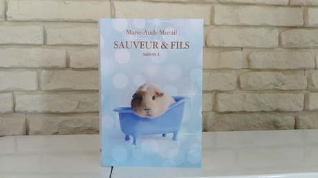 Sauveur & Fils saison 1 – Marie-Aude Murail