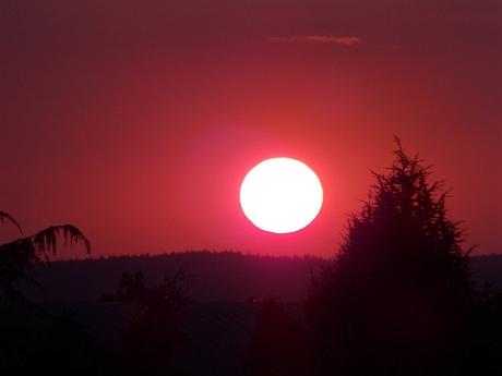 Saint-Izaire sur blues