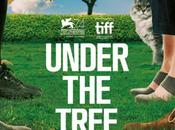 Under tree, infos film Hafsteinn Gunnar Sigurðsson