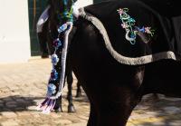 A la découverte de la paradisiaque île de Minorque #2