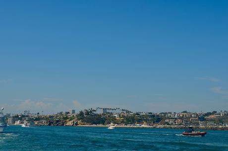 Croisière d’observation des baleines à Newport Beach