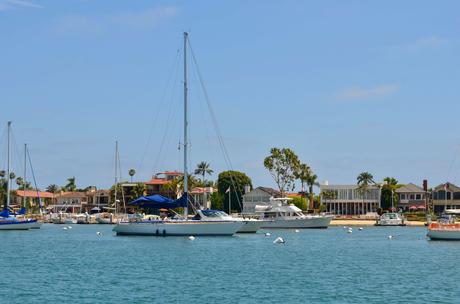 Croisière d’observation des baleines à Newport Beach