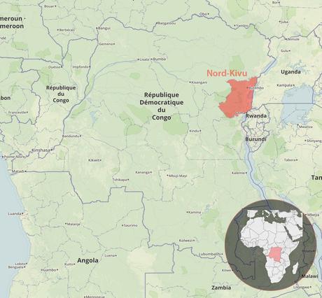 Ebola : des spécialistes de la Croix-Rouge à pied d’œuvre dans le Nord-Kivu (RDC) Ebola : des spécialistes de la Croix-Rouge à pied d’œuvre dans le Nord-Kivu (RDC)