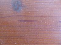 Cendres voyageuses !