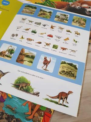 Ma petite encyclopédie en autocollants - Editions Lito : Les animaux et leurs petits - La vie des dinosaures, Au bord de la mer, Le dauphin, Engins et transports