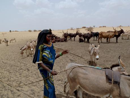 Niger : soutenir les populations agropastorales victimes de la sécheresse et de la violence