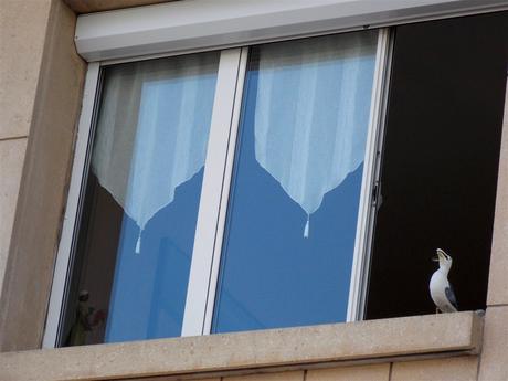 et dans les mots du blanc qui file et dans les mots du blanc qui file