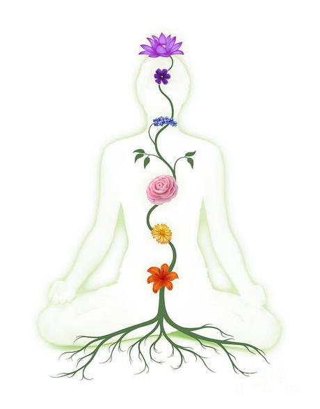 Le guide ultimes des 7 chakras, les harmoniser, les symptômes de déséquilibre…. représentation des 7 chakra sur le corps humain