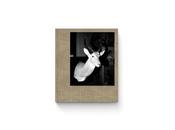 Sebastián bruno duelos quebrantos