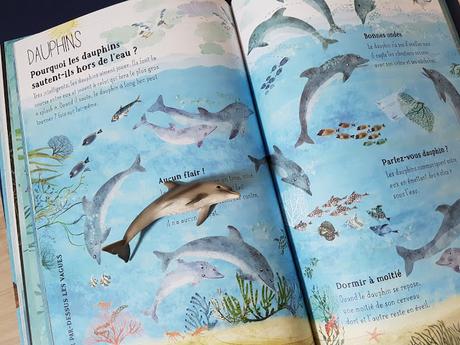 Nos incroyables animaux marins de Yuval Zommer ♥ ♥ ♥