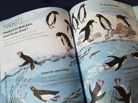 Nos incroyables animaux marins de Yuval Zommer ♥ ♥ ♥