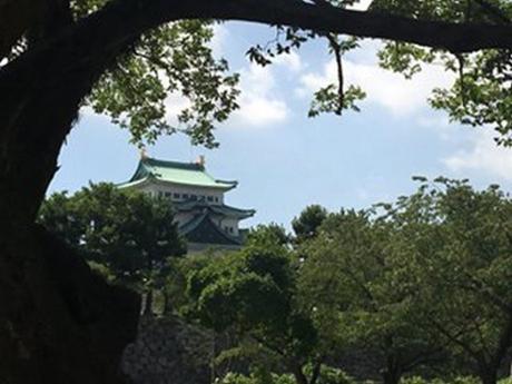 Le château de Nagoya et le Palais Honmaru