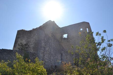 5 choses à faire à VAISON LA ROMAINE et alentours (84)