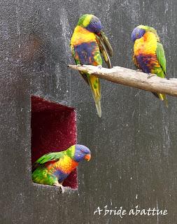 Une journée à Thoiry, épisode 3