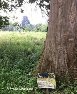 Une journée à Thoiry, épisode 3