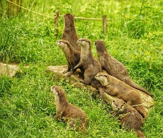 Une journée à Thoiry, épisode 3