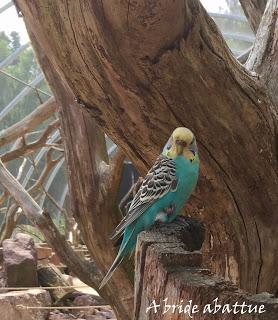 Une journée à Thoiry, épisode 3 Une journée à Thoiry, épisode 3